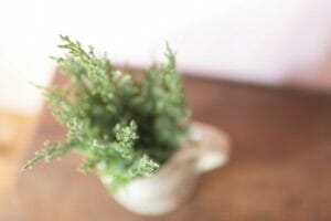 Habitación Belai Casa Rural Enekoizar (Selva de Irati) 17 Habitación Belai Casa Rural Enekoizar (Selva de Irati) 17