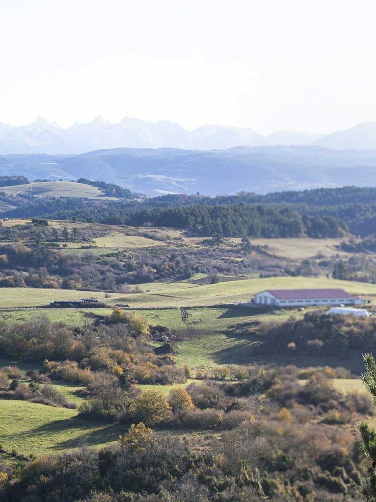 panoramica-abaurrea-alta-pirineo-navarro-6 svg+xml;charset=utf