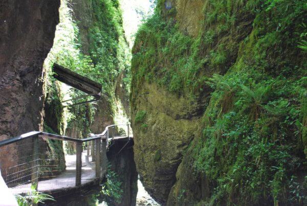 Gargantas de Kakueta, Selva de Irati