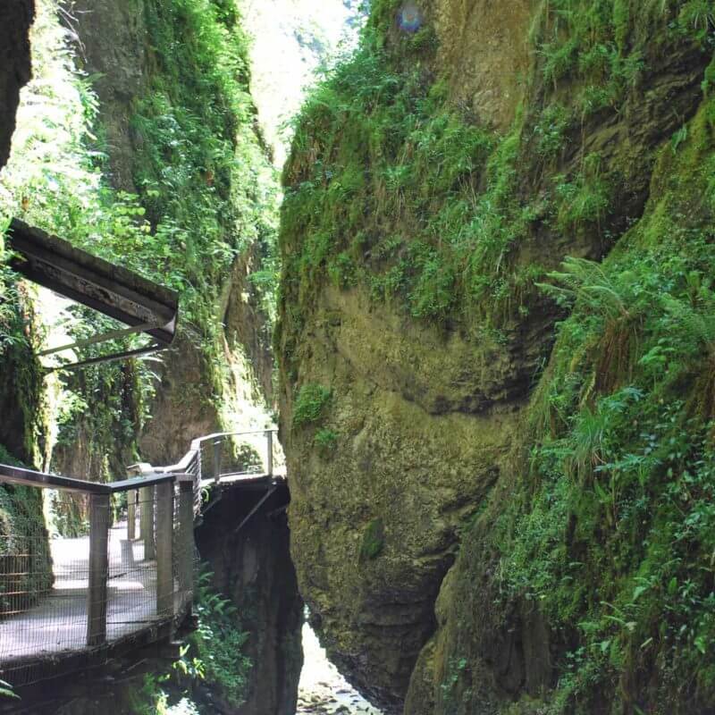 Gargantas de Kakueta, Selva de Irati