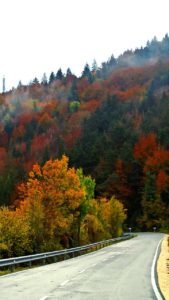 informacion puente todos los santos