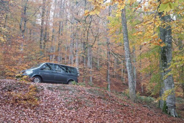 Rutas 4x4 en la Selva de Irati - Auñak Servicios Turísticos