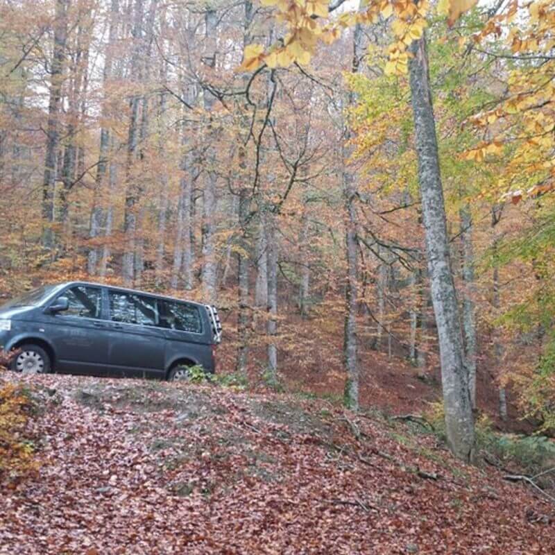 Rutas 4x4 en la Selva de Irati - Auñak Servicios Turísticos