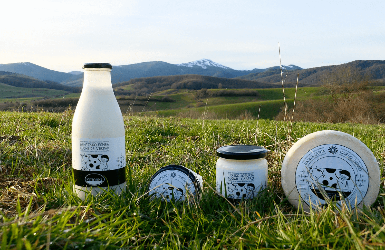 Descubre Pirineki Lácteos de pastos del Pirineo Navarro