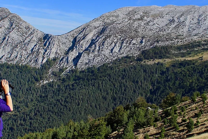 Mauka