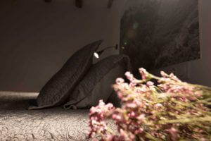 Habitación Arpea Casa Rural Enekoizar 16 Habitación Arpea Casa Rural Enekoizar 16