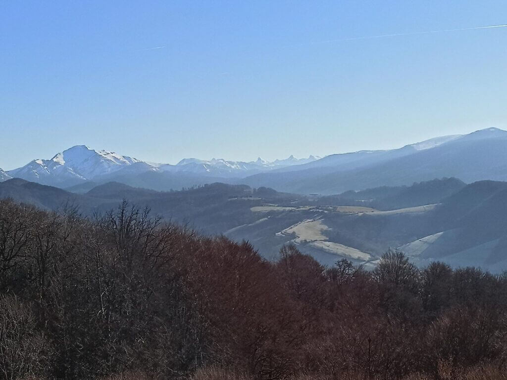 sendero-arlekia