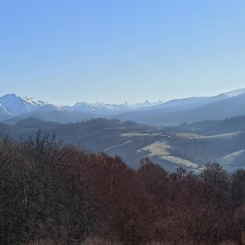 sendero-arlekia