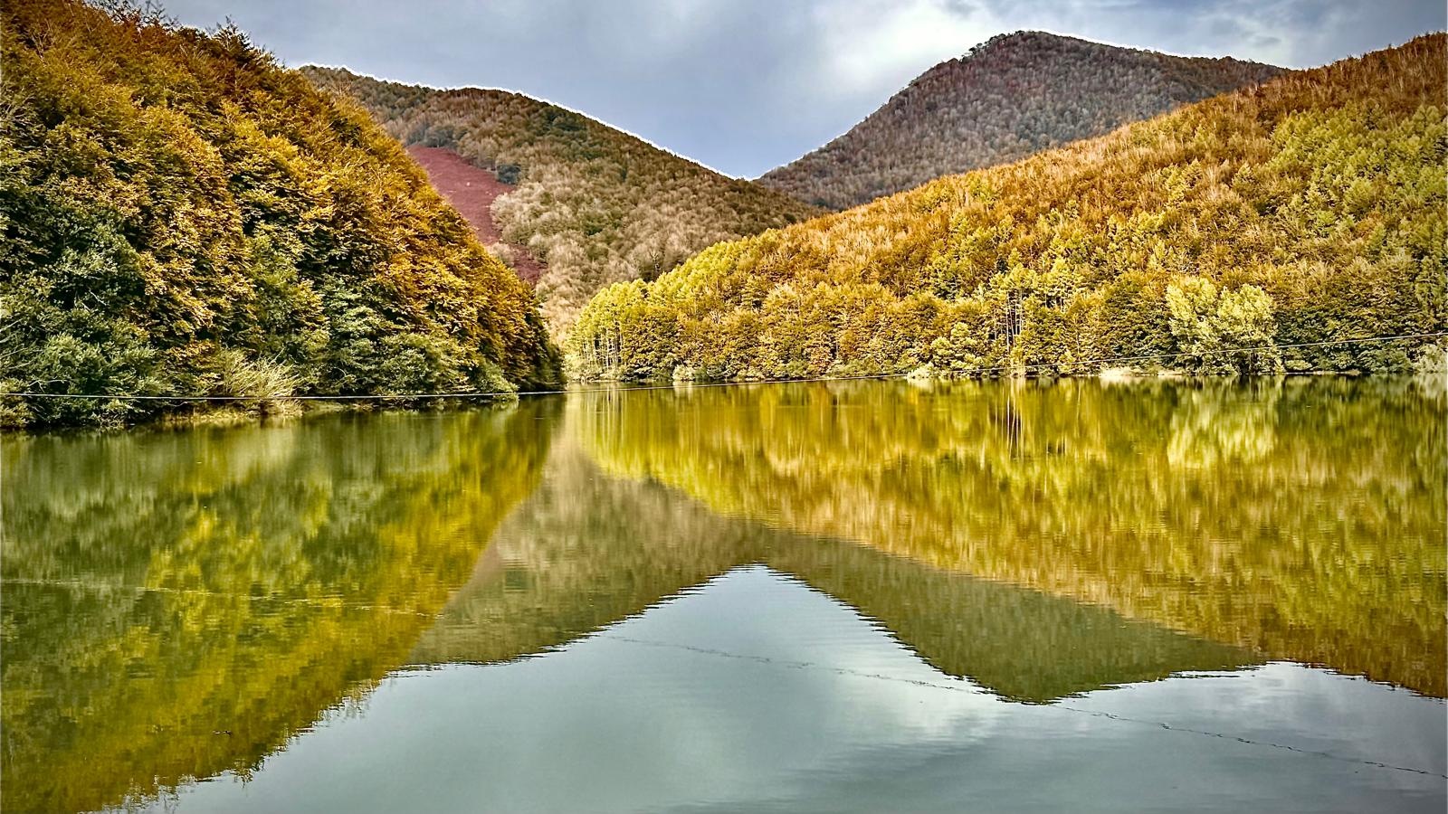 Planes culturales y de bosque en el Valle de Aezkoa este otoño e inviern